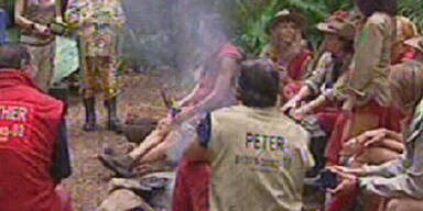 Für Michael ist das Dschungelabenteuer vorbei