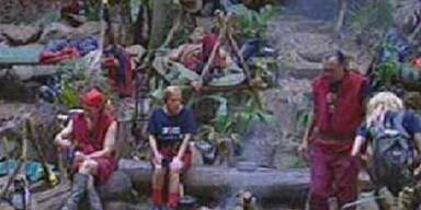 Im Dschungel heißt es ab jetzt: Ösis gegen Piefke!