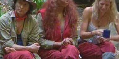 Im Dschungel heißt es ab jetzt: Ösis gegen Piefke!