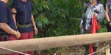 Im Dschungel heißt es ab jetzt: Ösis gegen Piefke!