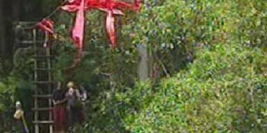 Im Dschungel heißt es ab jetzt: Ösis gegen Piefke!