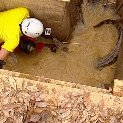 Tag 3 im Dschungelcamp: Alle Bilder