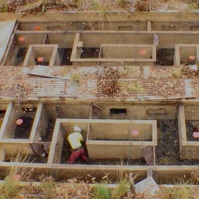 Tag 3 im Dschungelcamp: Alle Bilder