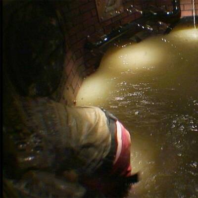 Dschungelcamp 2013: Der zweite Tag im Urwald