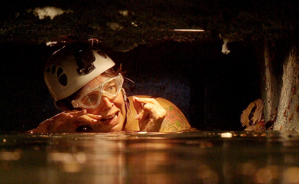 Dschungelcamp: Kirchberger sorgt für Traum-Start