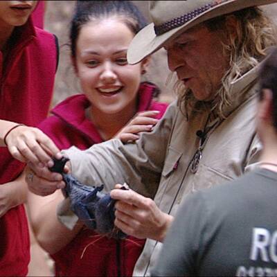 Tag 2 im Dschungelcamp: Alle Bilder