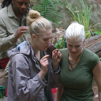 Der zweite Tag im Dschungelcamp