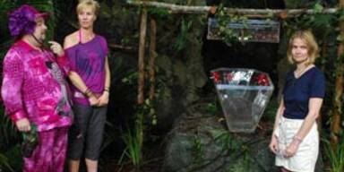 Julia flieht vor 40.000 Kakerlaken