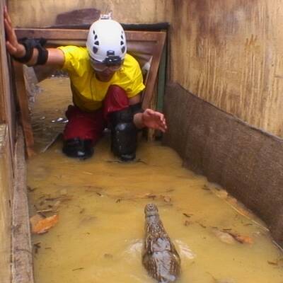 Tag 3 im Dschungelcamp: Alle Bilder