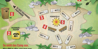 Mausi im Urwald: Erst Luxus, dann Ekelcamp