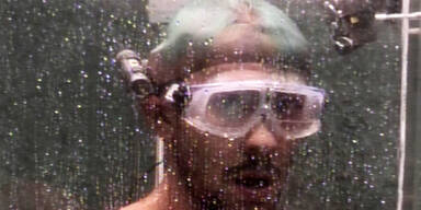 Dschungel 2018 Negroni