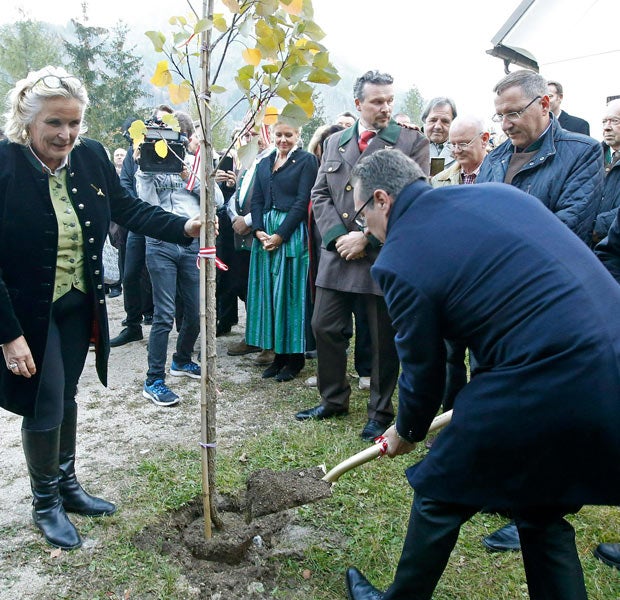 Strache Haider Medaille