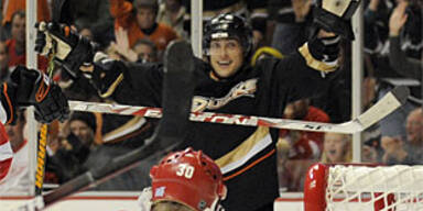 ducks wings