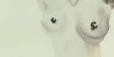 Nackte Tatsachen in Öl auf Leinwand