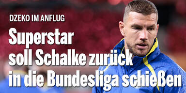 Transfer-Sensation bei Schalke 04