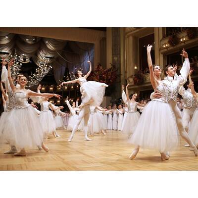 Opernball 2017 - Die besten Bilder