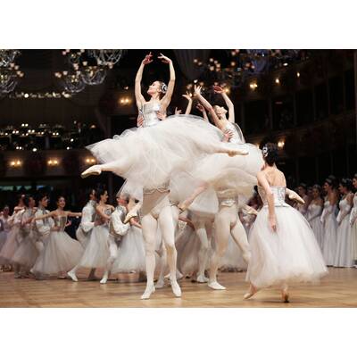 Opernball 2017 - Die besten Bilder