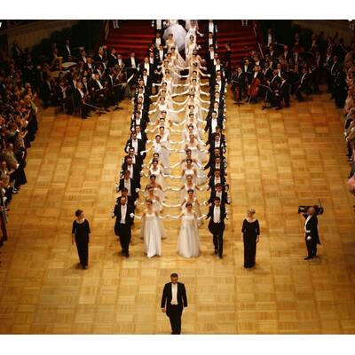 Opernball 2017 - Die besten Bilder