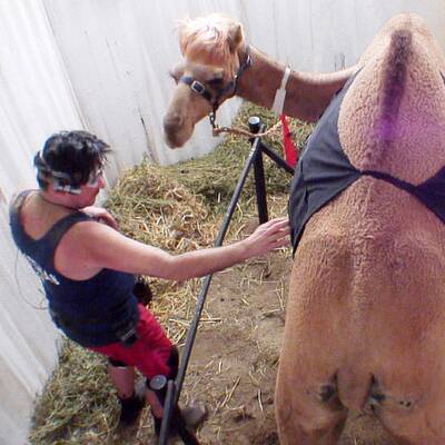 Tag 4 im Dschungelcamp