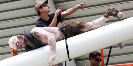 Das werden die Highlights der 