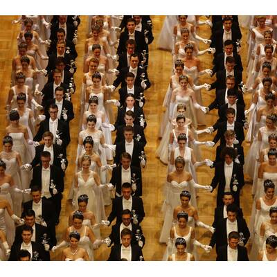Opernball 2017 - Die besten Bilder