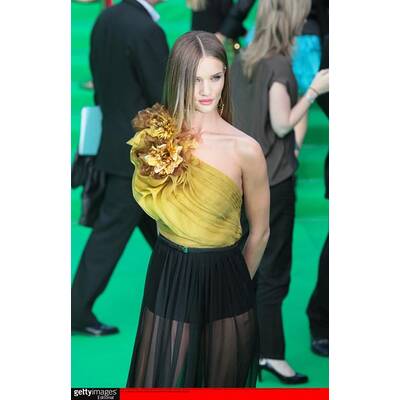 Rosie Huntington-Whiteley sexy am Red Carpet