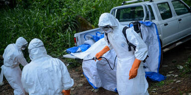 Krankheit X: Forscher warnt vor Virus-Apokalypse