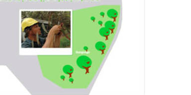 ecocho