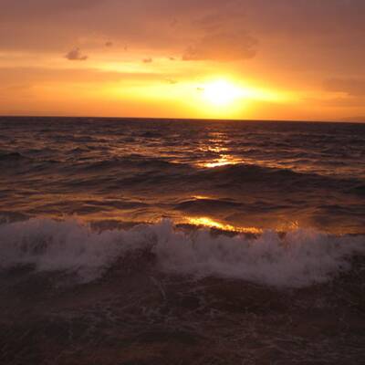 Die schönsten Urlaubsfotos