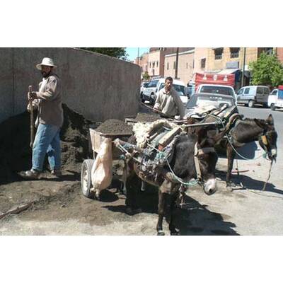 Die neuesten Urlaubsfotos