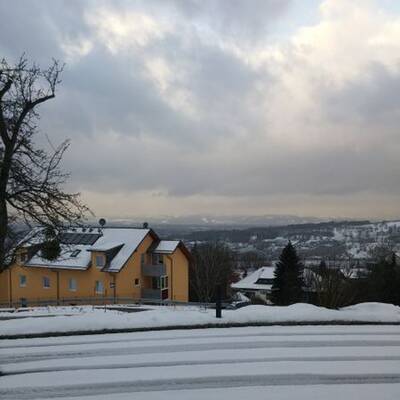 Winter im Wienerwald