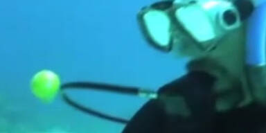 Faszinierend: Ein rohes Ei unter Wasser