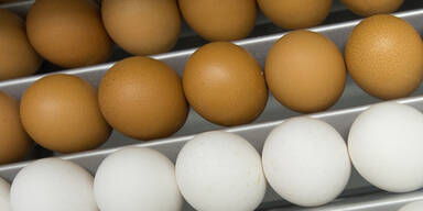 Auch "Ja! Nat&uuml;rlich" ruft Eier zur&uuml;ck