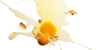 Eier