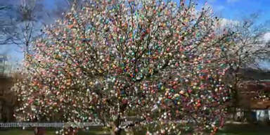 Osterbaum mit &uuml;ber 10.000 Eiern