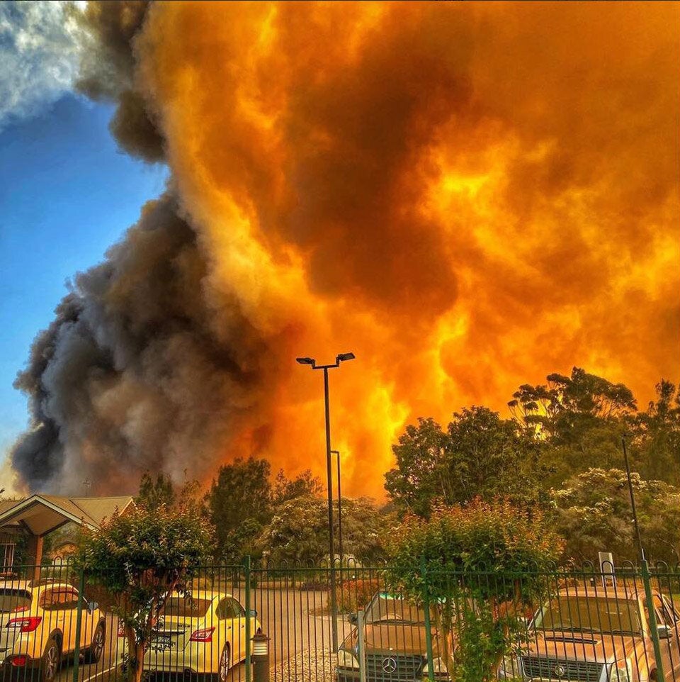 buschfeuer australien