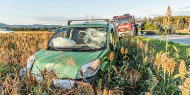 Ausgerissenes Pferd lief auf Stra&szlig;e und crashte in Autos