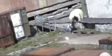EISBÄR greift an! Frau kämpft um ihr Leben
