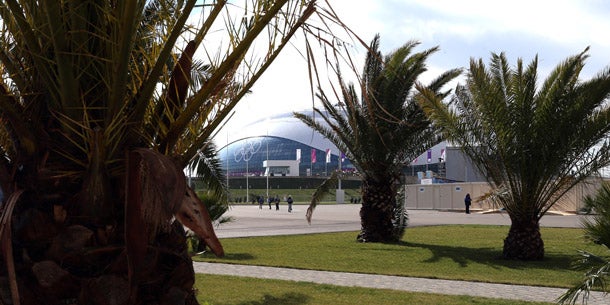 Winterspiele unter Palmen