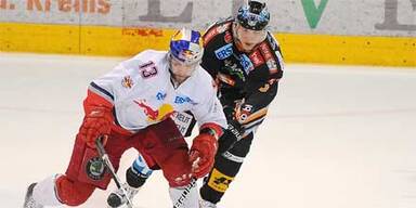 Black Wings lassen Bullen keine Chance