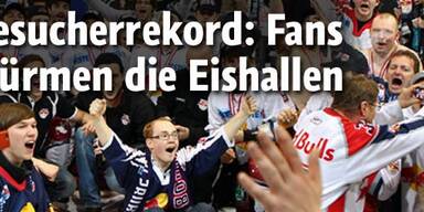 Fans stürmen heimische Eishallen