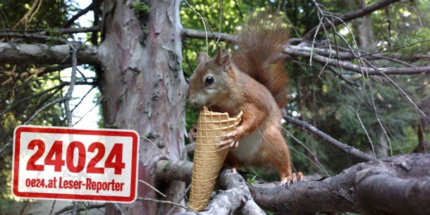 Sommer extrem: Hitze und Gewitter
