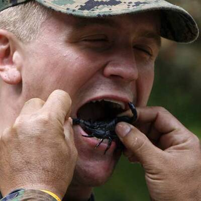 Soldaten trinken Schlangenblut