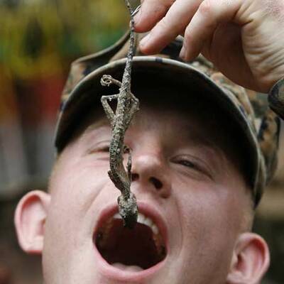 Soldaten trinken Schlangenblut