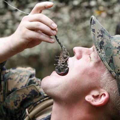 Soldaten trinken Schlangenblut
