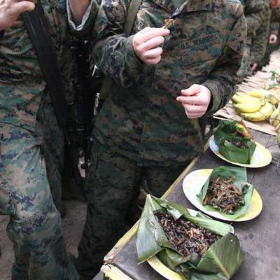 Soldaten trinken Schlangenblut