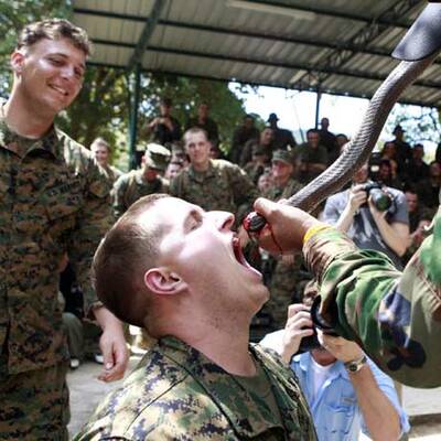 Soldaten trinken Schlangenblut