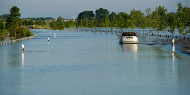Deichbruch an der Elbe in Sachsen-Anhalt
