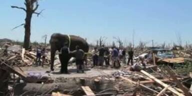 Elefant hilft bei Aufr&auml;umarbeiten nach Tornado