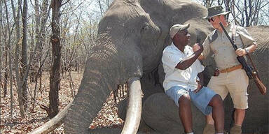 Deutscher J&auml;ger t&ouml;tet legend&auml;ren Elefanten